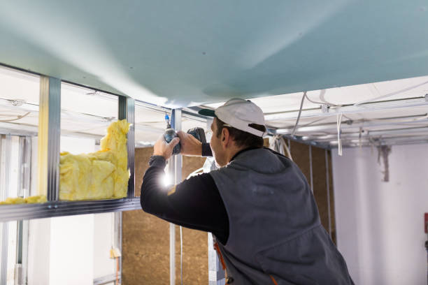 Best Insulation Maintenance and Repair in Chesterton, IN