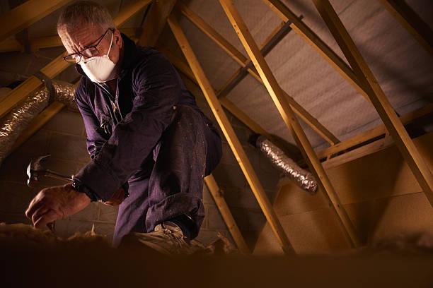 Best Geographic-Specific Insulation Services in Chesterton, IN