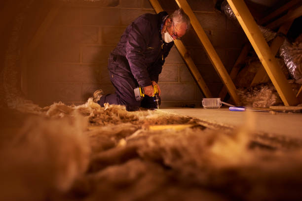 Best Residential Insulation in Chesterton, IN